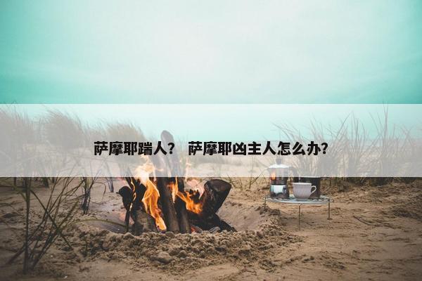 萨摩耶踹人？ 萨摩耶凶主人怎么办？