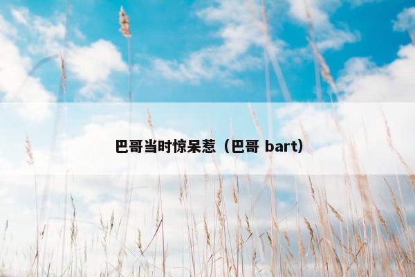 巴哥当时惊呆惹（巴哥 bart）