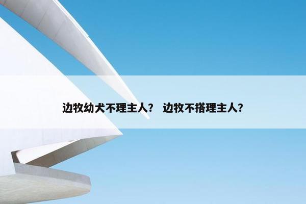 边牧幼犬不理主人？ 边牧不搭理主人？