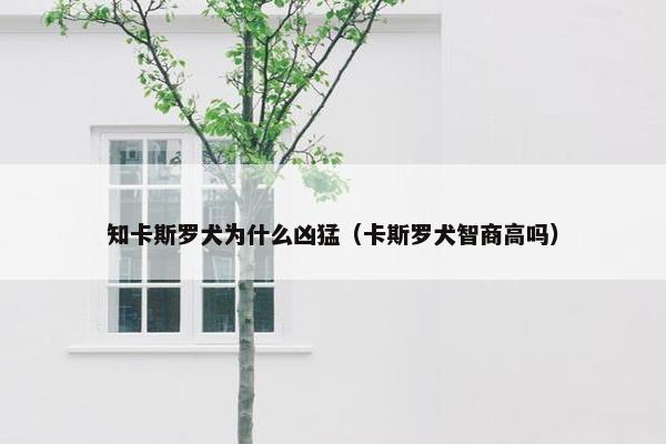 知卡斯罗犬为什么凶猛（卡斯罗犬智商高吗）