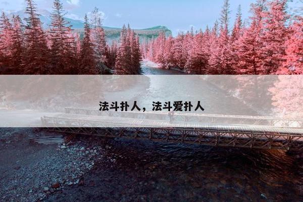法斗扑人，法斗爱扑人