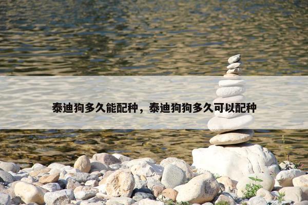 泰迪狗多久能配种，泰迪狗狗多久可以配种