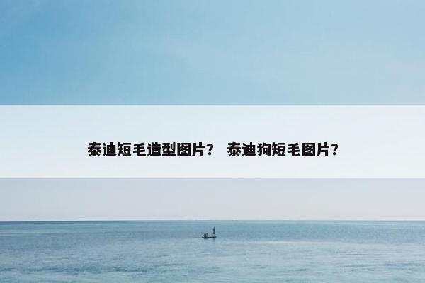泰迪短毛造型图片？ 泰迪狗短毛图片？