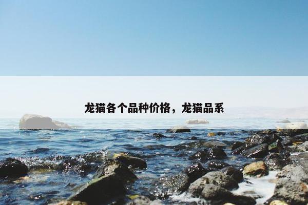 龙猫各个品种价格，龙猫品系