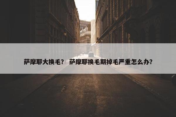 萨摩耶大换毛？ 萨摩耶换毛期掉毛严重怎么办？