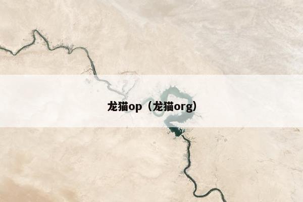 龙猫op（龙猫org）