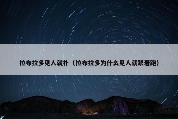 拉布拉多见人就扑（拉布拉多为什么见人就跟着跑）