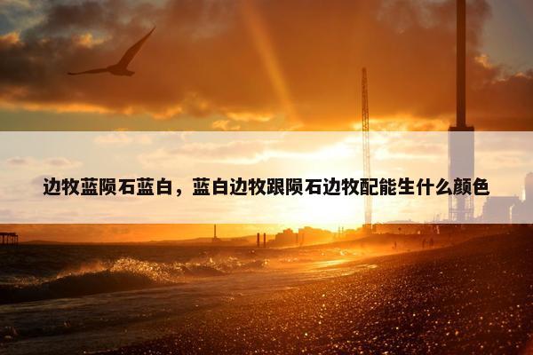 边牧蓝陨石蓝白，蓝白边牧跟陨石边牧配能生什么颜色