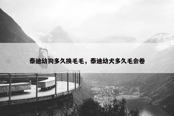 泰迪幼狗多久换毛毛，泰迪幼犬多久毛会卷