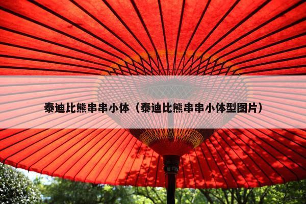 泰迪比熊串串小体（泰迪比熊串串小体型图片）
