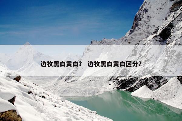边牧黑白黄白？ 边牧黑白黄白区分？