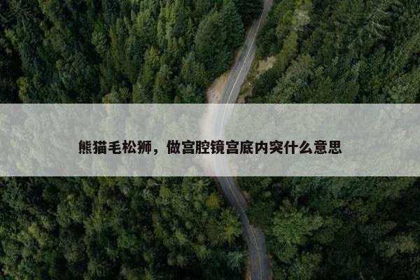 熊猫毛松狮，做宫腔镜宫底内突什么意思