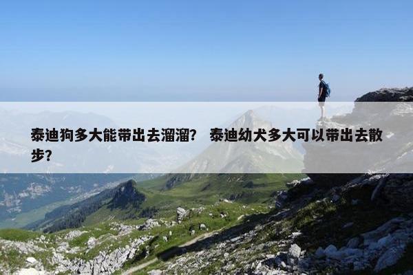 泰迪狗多大能带出去溜溜？ 泰迪幼犬多大可以带出去散步？