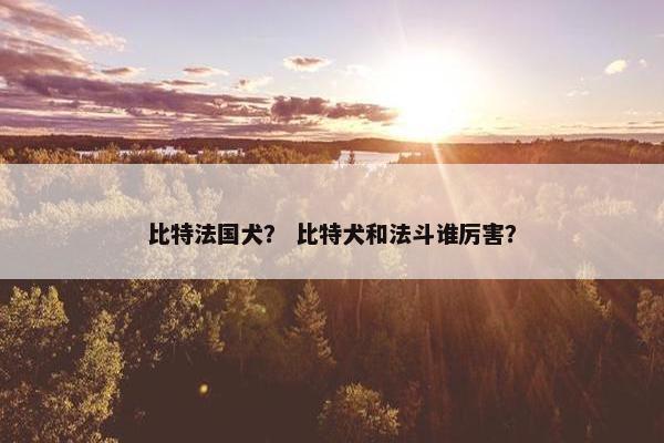 比特法国犬？ 比特犬和法斗谁厉害？