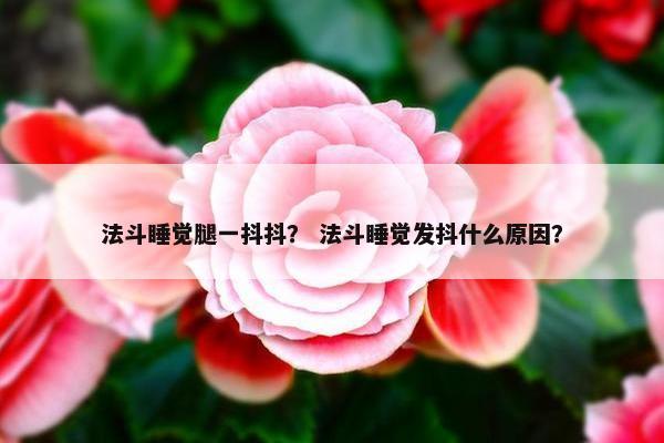 法斗睡觉腿一抖抖？ 法斗睡觉发抖什么原因？