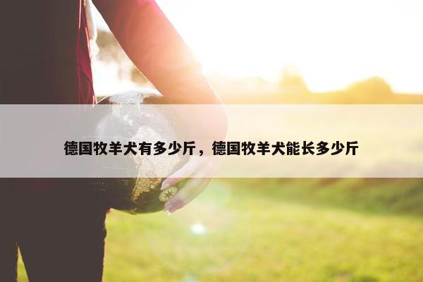 德国牧羊犬有多少斤，德国牧羊犬能长多少斤