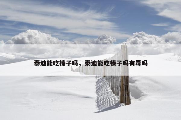 泰迪能吃榛子吗，泰迪能吃榛子吗有毒吗