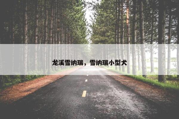 龙溪雪纳瑞，雪纳瑞小型犬