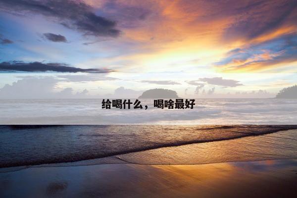 给喝什么，喝啥最好