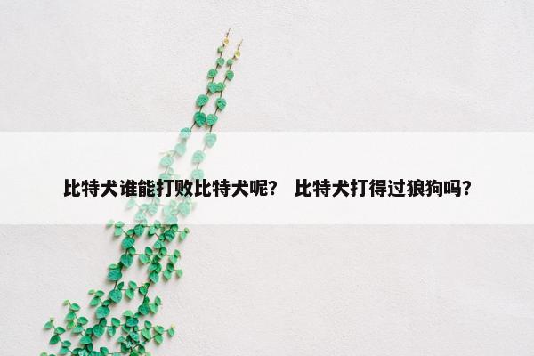 比特犬谁能打败比特犬呢？ 比特犬打得过狼狗吗？