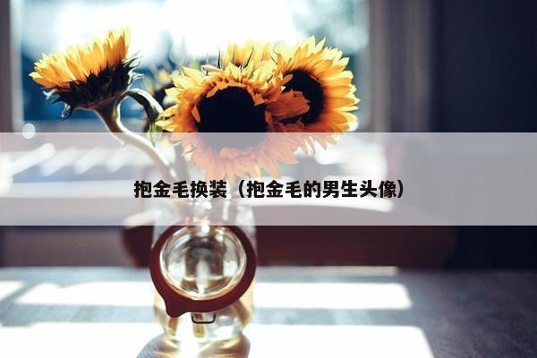 抱金毛换装（抱金毛的男生头像）
