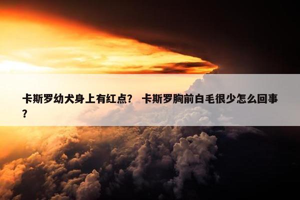 卡斯罗幼犬身上有红点？ 卡斯罗胸前白毛很少怎么回事？