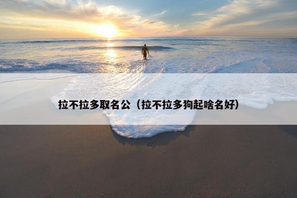 拉不拉多取名公（拉不拉多狗起啥名好）