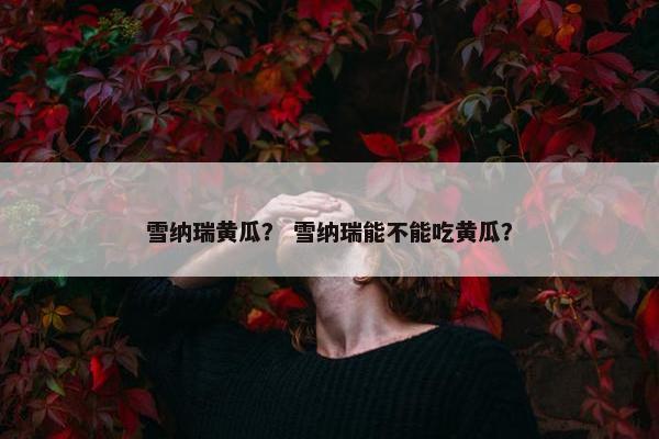 雪纳瑞黄瓜？ 雪纳瑞能不能吃黄瓜？