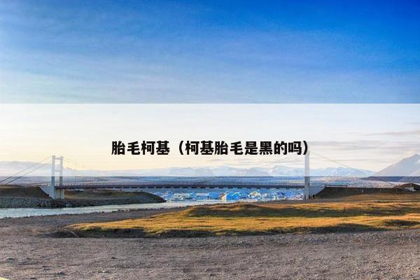 胎毛柯基（柯基胎毛是黑的吗）