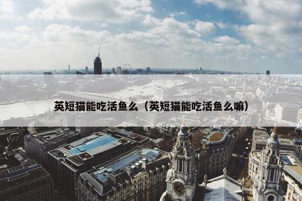 英短猫能吃活鱼么（英短猫能吃活鱼么嘛）
