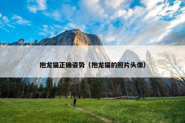 抱龙猫正确姿势（抱龙猫的照片头像）