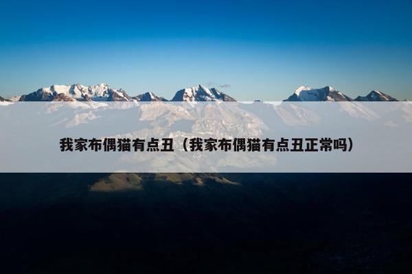 我家布偶猫有点丑（我家布偶猫有点丑正常吗）