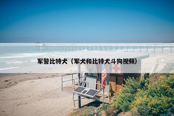 军警比特犬（军犬和比特犬斗狗视频）