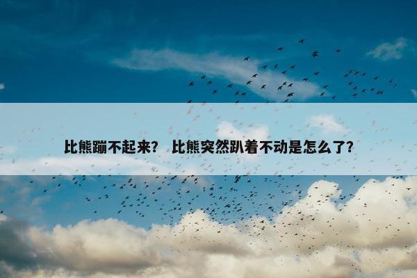 比熊蹦不起来？ 比熊突然趴着不动是怎么了？