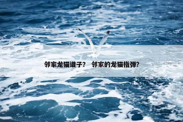 邻家龙猫谱子？ 邻家的龙猫指弹？