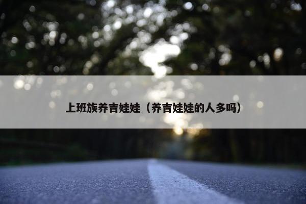 上班族养吉娃娃（养吉娃娃的人多吗）