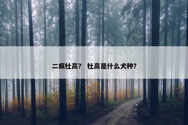 二疯杜高？ 杜高是什么犬种？