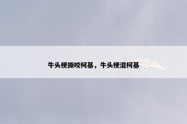 牛头梗撕咬柯基，牛头梗混柯基