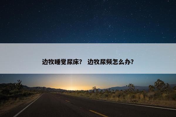 边牧睡觉尿床？ 边牧尿频怎么办？