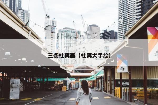 三条杜宾画（杜宾犬手绘）