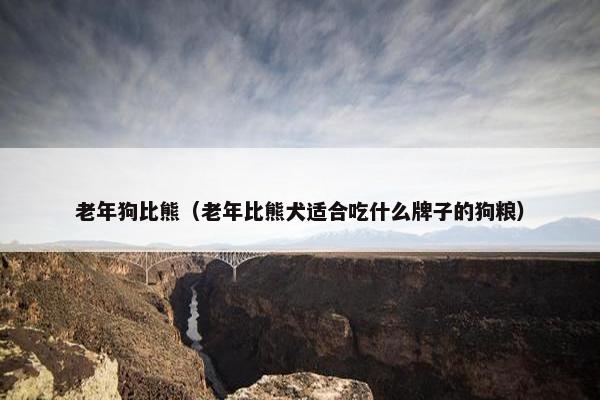 老年狗比熊（老年比熊犬适合吃什么牌子的狗粮）