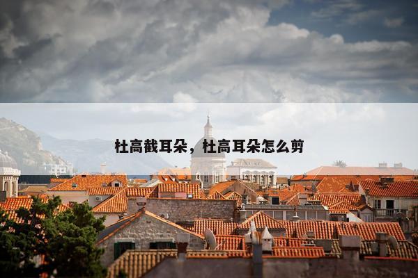 杜高截耳朵，杜高耳朵怎么剪