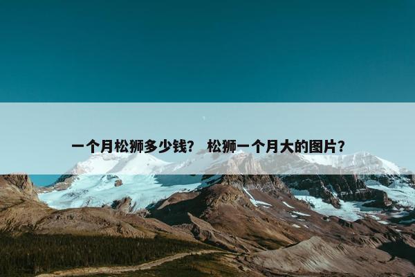 一个月松狮多少钱？ 松狮一个月大的图片？