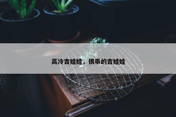 高冷吉娃娃，很乖的吉娃娃