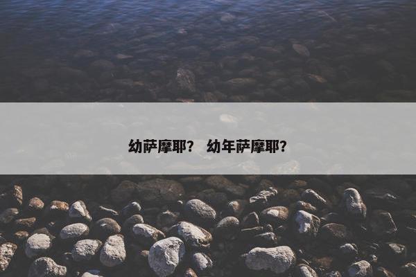 幼萨摩耶？ 幼年萨摩耶？