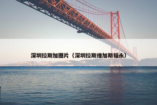 深圳拉斯加图片（深圳拉斯维加斯福永）