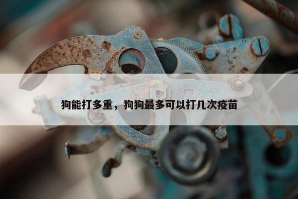 狗能打多重，狗狗最多可以打几次疫苗