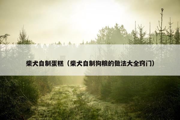 柴犬自制蛋糕（柴犬自制狗粮的做法大全窍门）