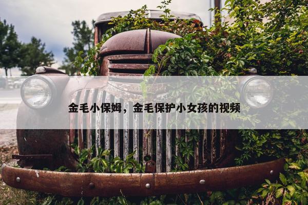 金毛小保姆，金毛保护小女孩的视频