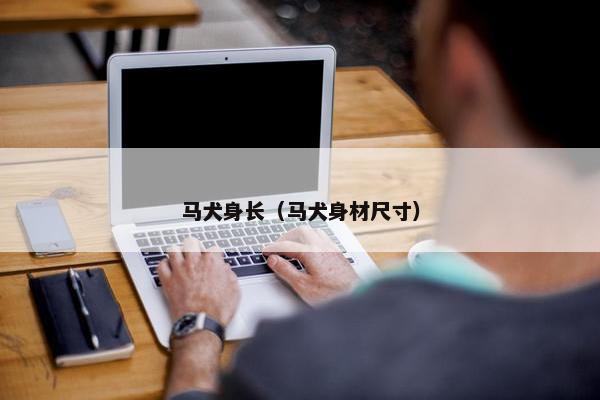 马犬身长（马犬身材尺寸）